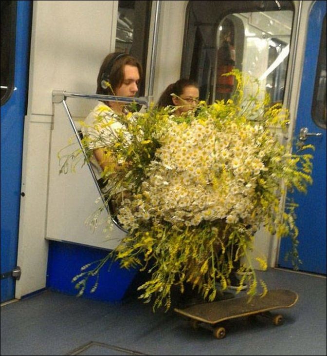 фото приколы