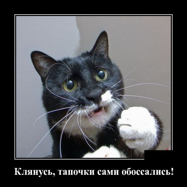 демотиватор