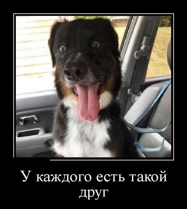 демотиватор