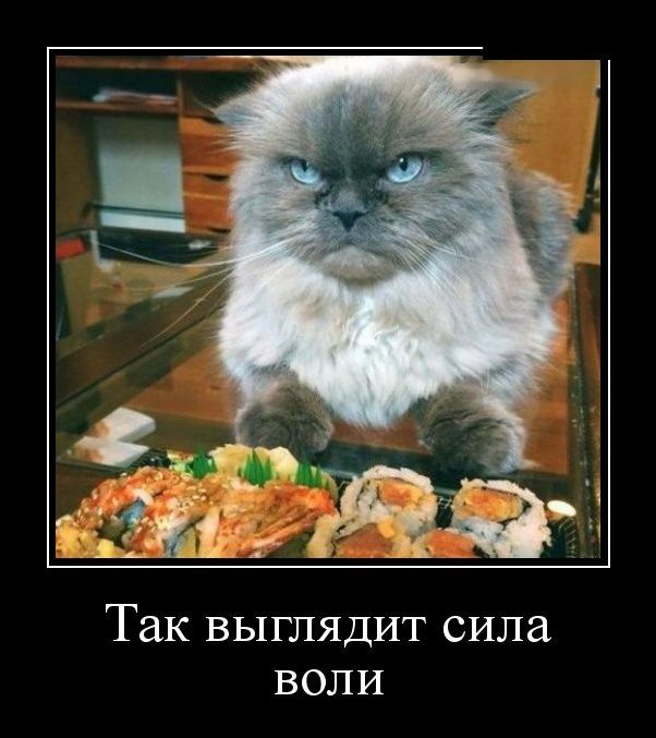 демотиватор