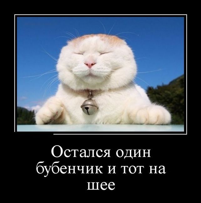 демотиватор