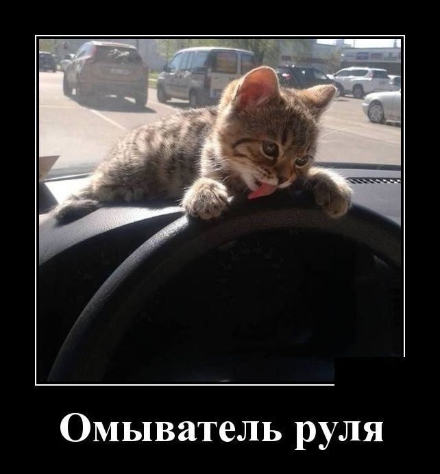 демотиватор