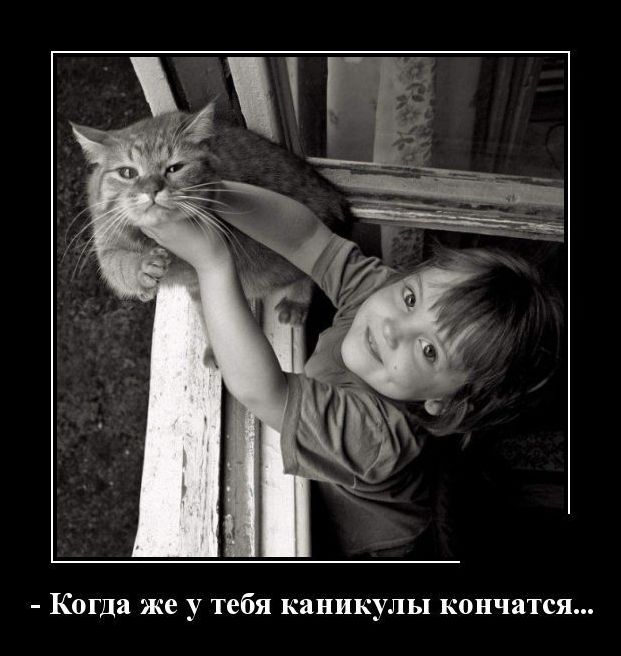 демотиватор