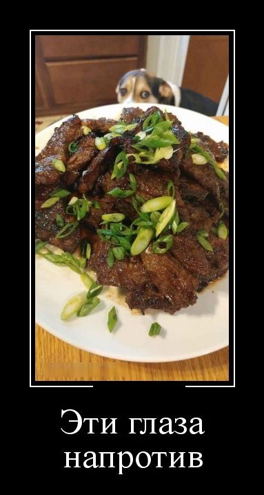 демотиватор