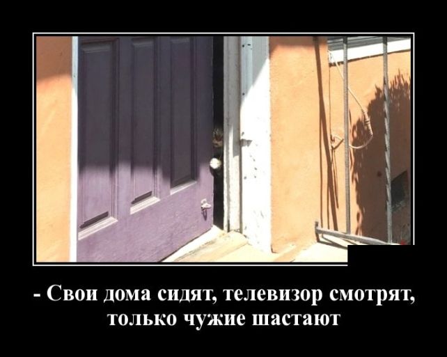 демотиватор