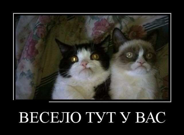 демотиватор