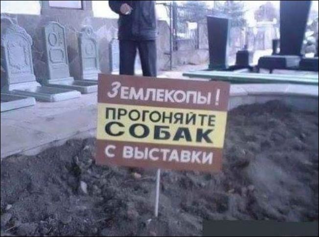 смешные надписи смешные надписи
