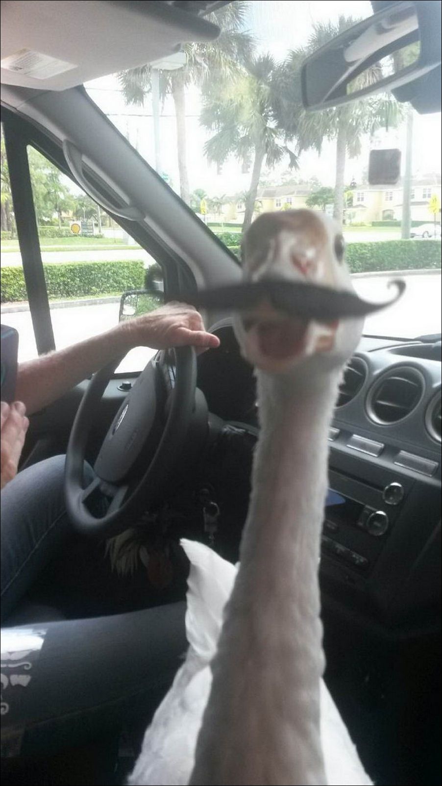 фото приколы