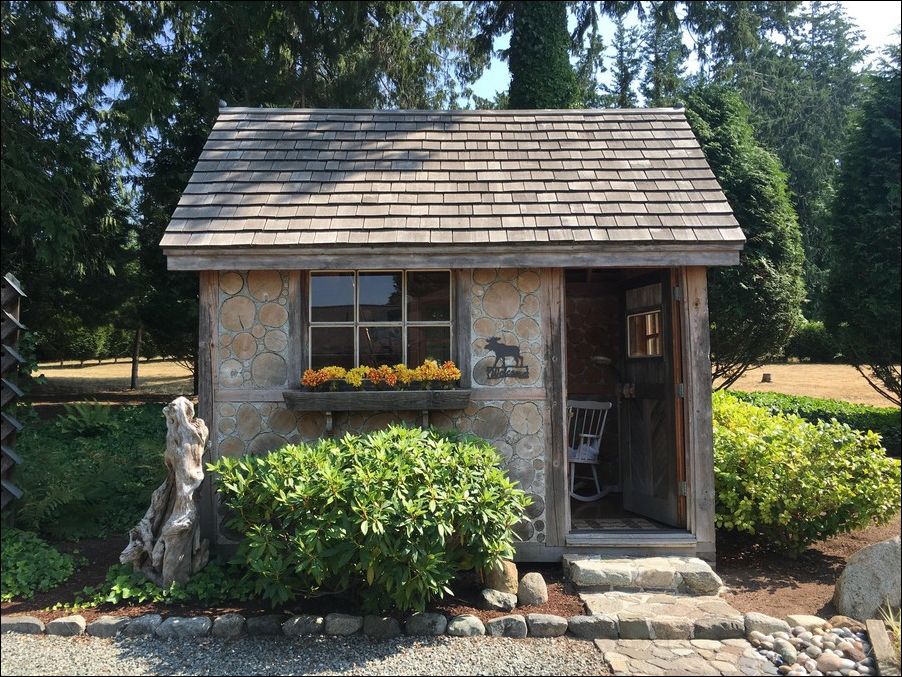 фото приколы