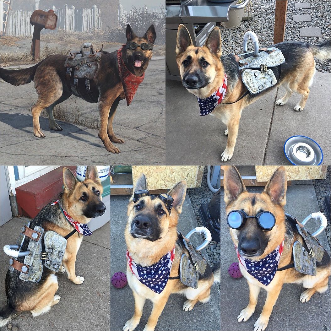 фото приколы