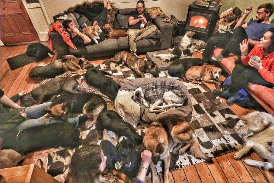 фото приколы