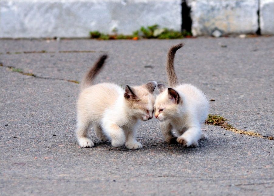 фото приколы