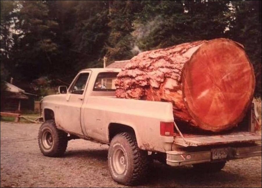 фото приколы