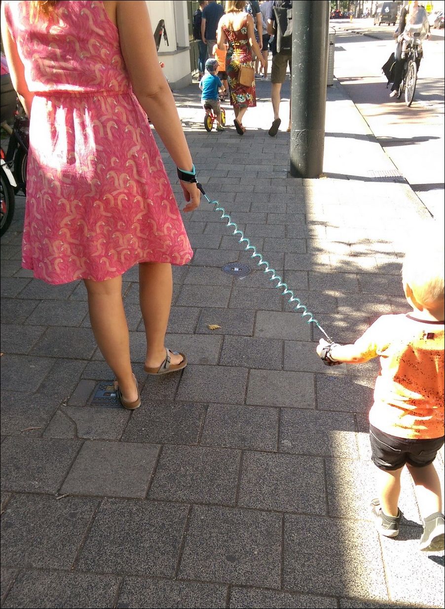 фото приколы