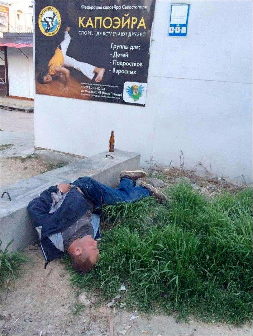 фото приколы