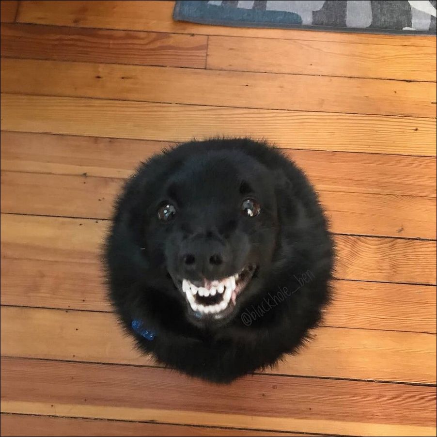 фото приколы