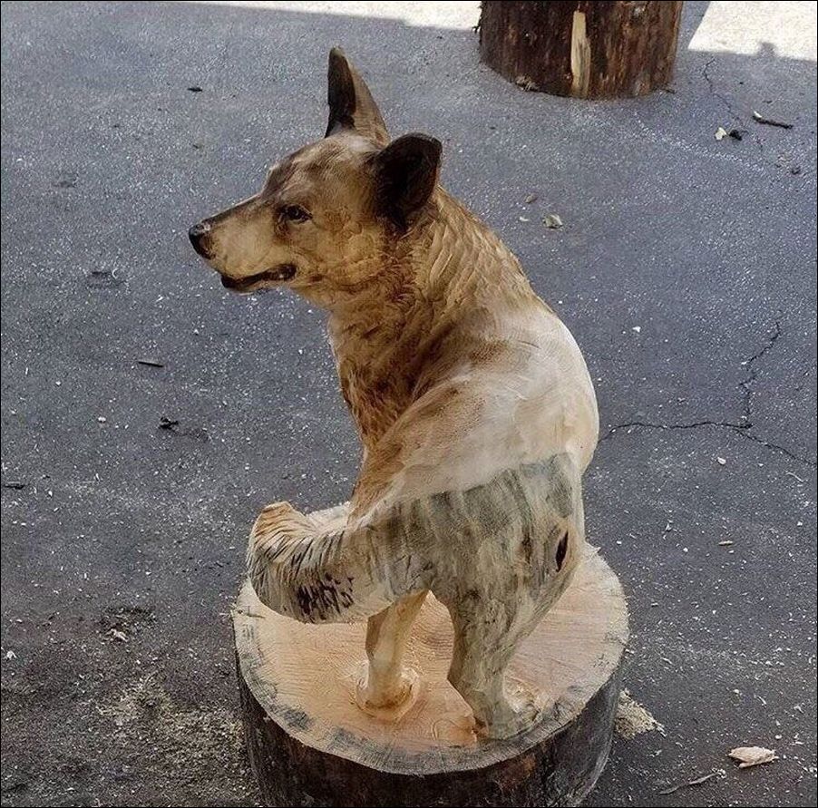 фото приколы