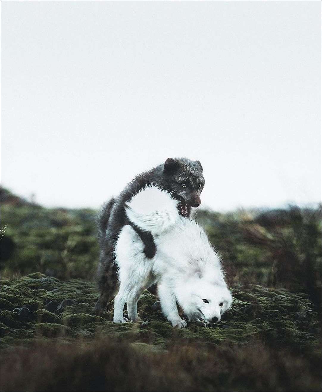 фото приколы