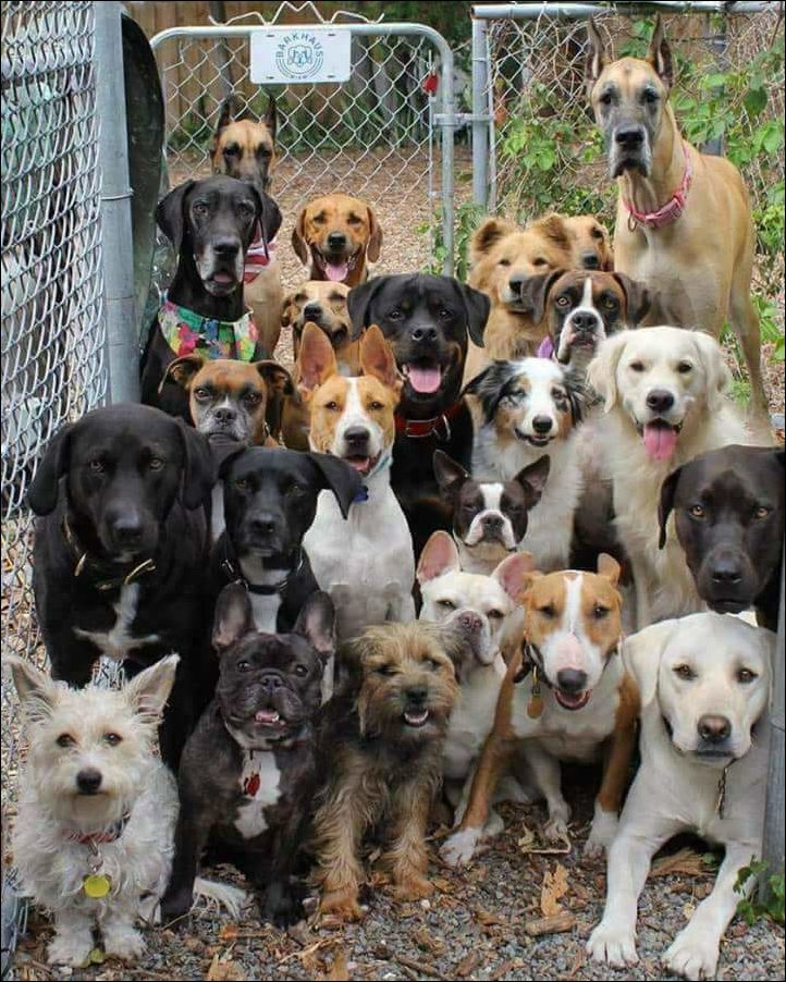 фото приколы