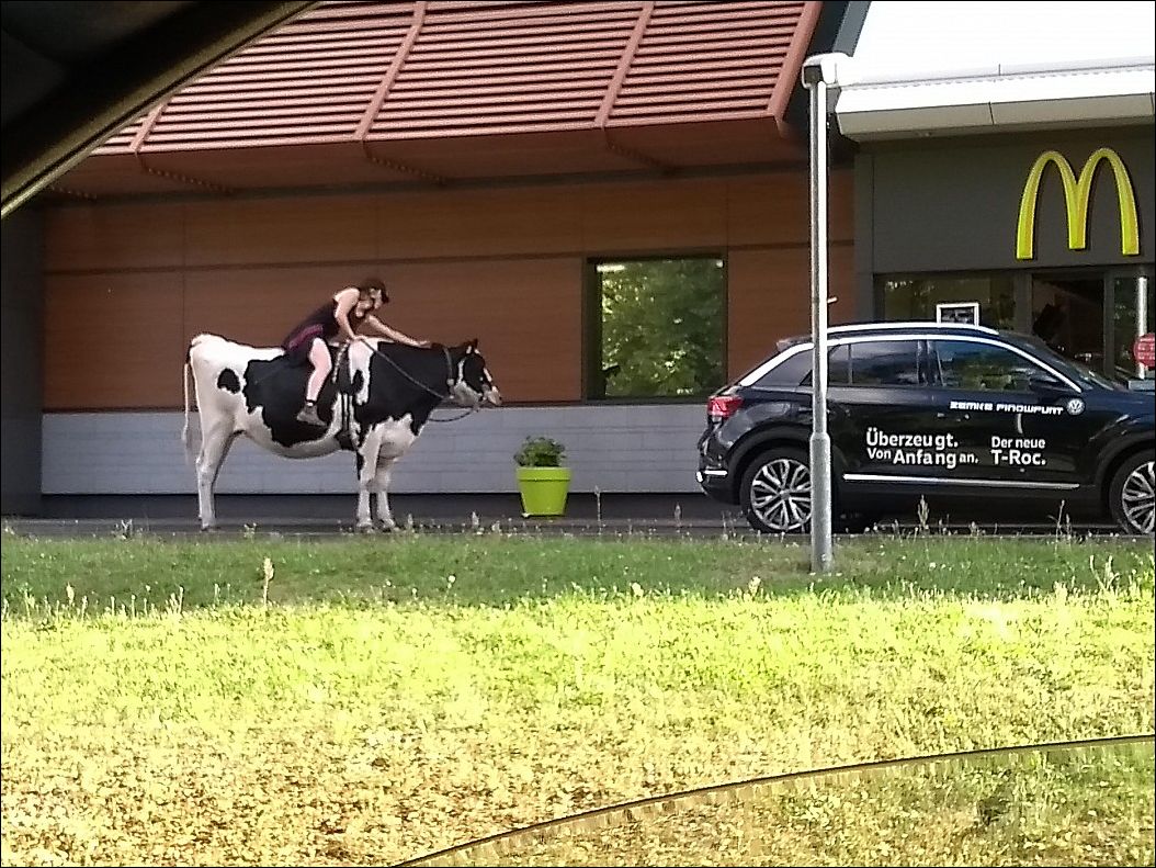 фото приколы