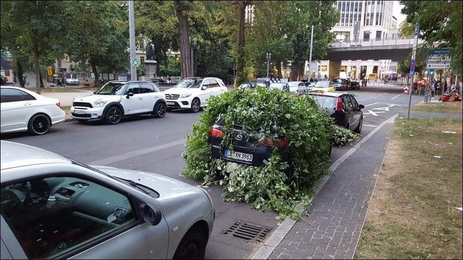 фото приколы