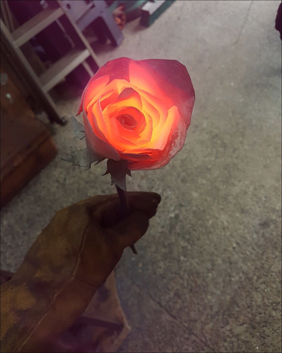 фото приколы