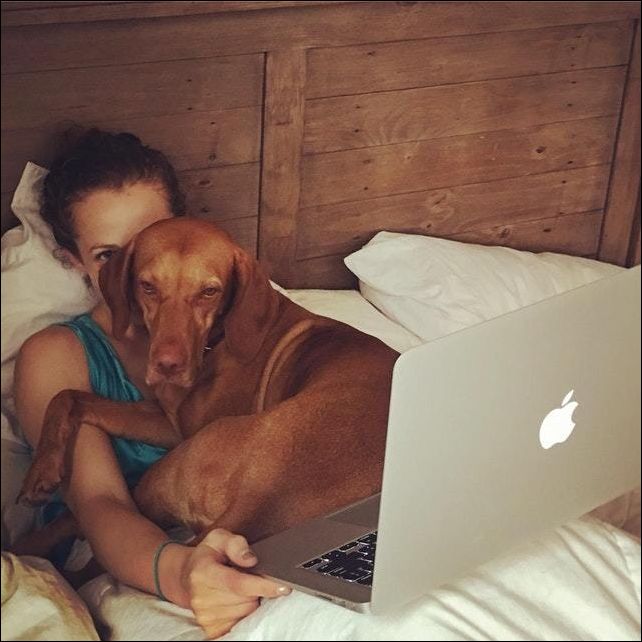 фото приколы