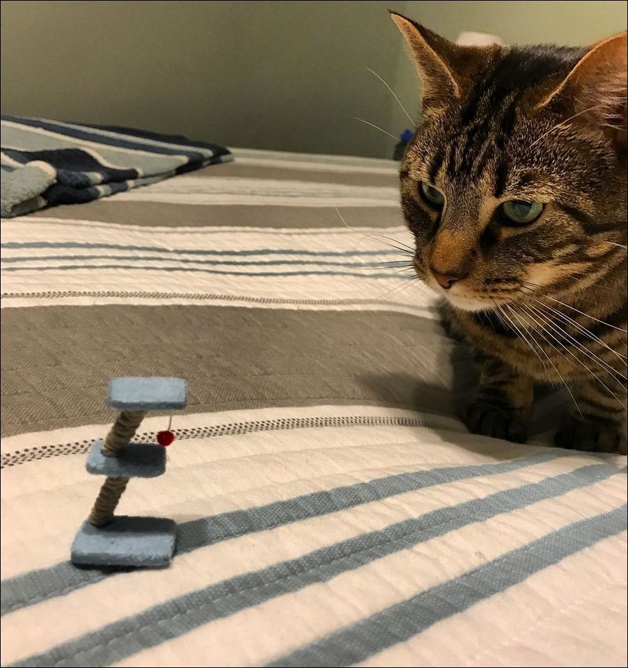 фотоприколы