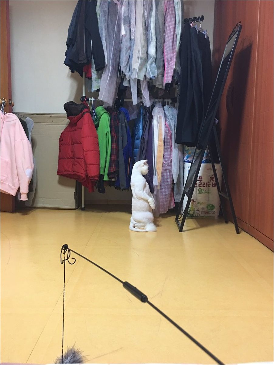 фотоприколы