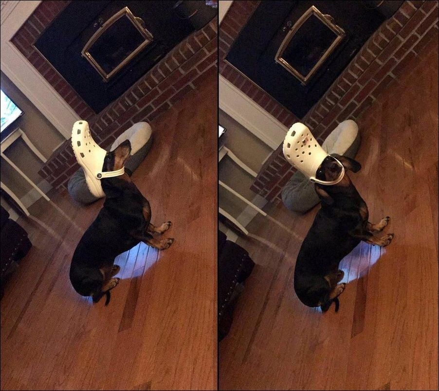 фотоприколы