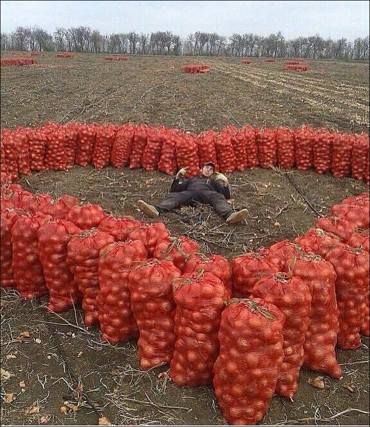 фотоприколы