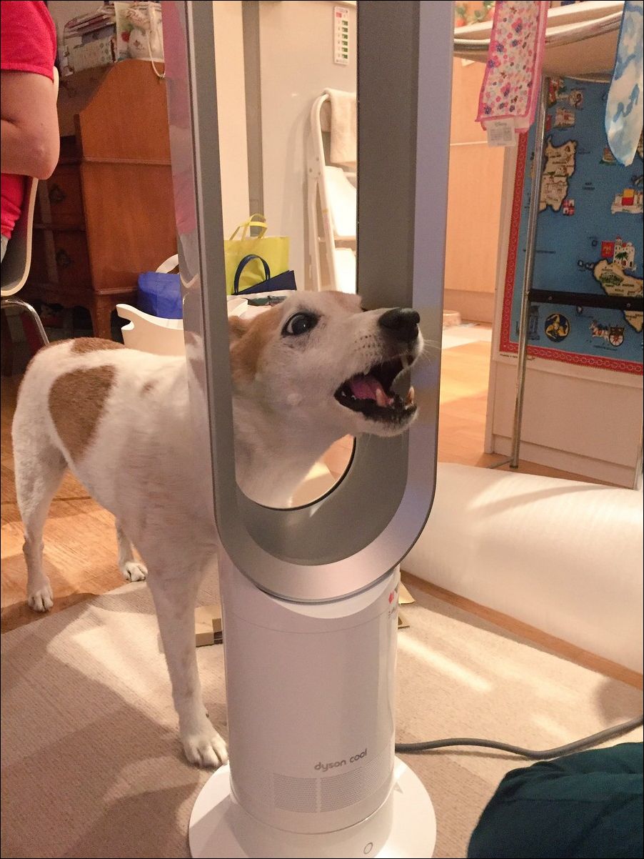 фотоприколы