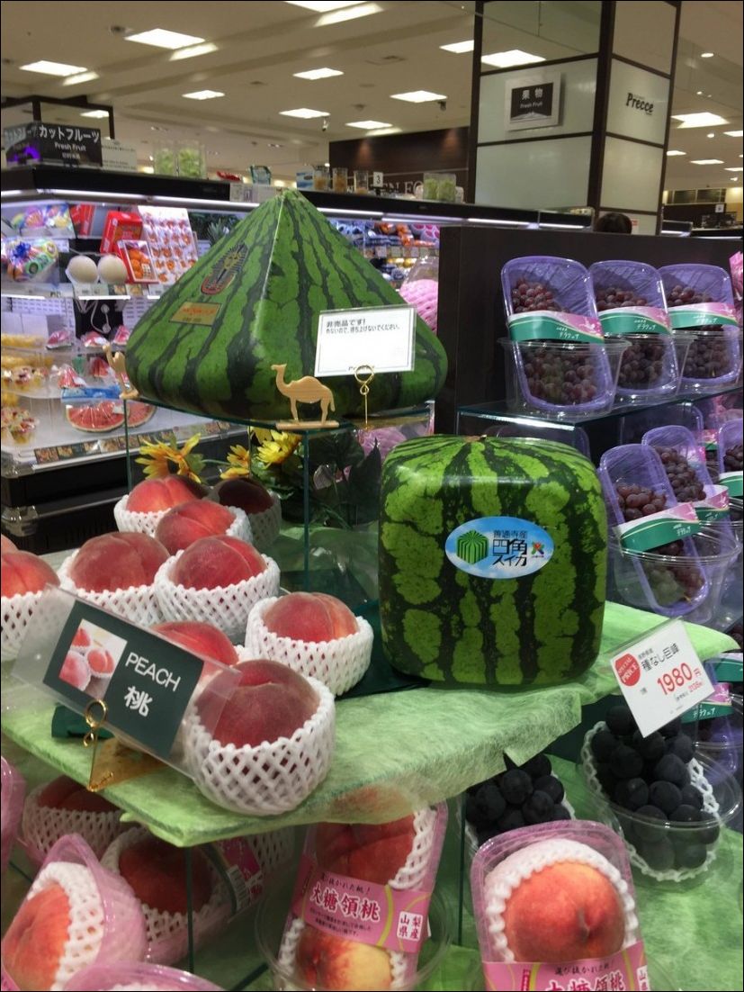 фотоприколы