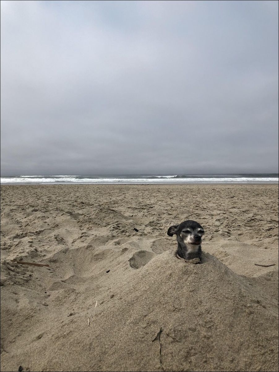 фотоприколы