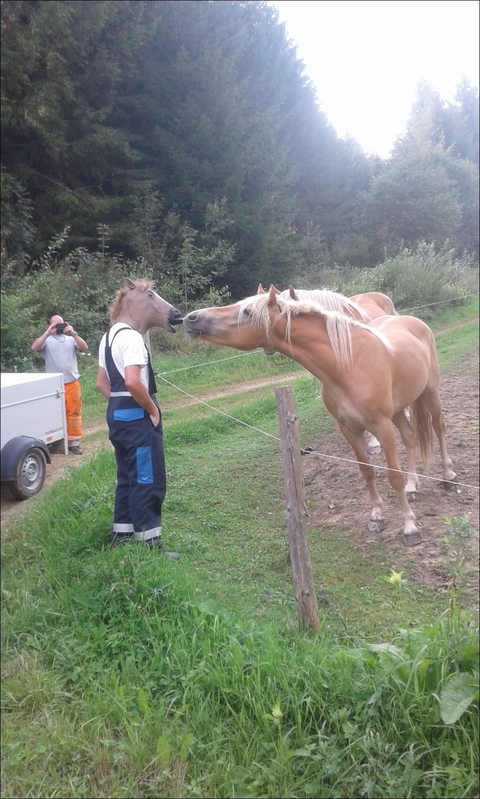 фотоприколы