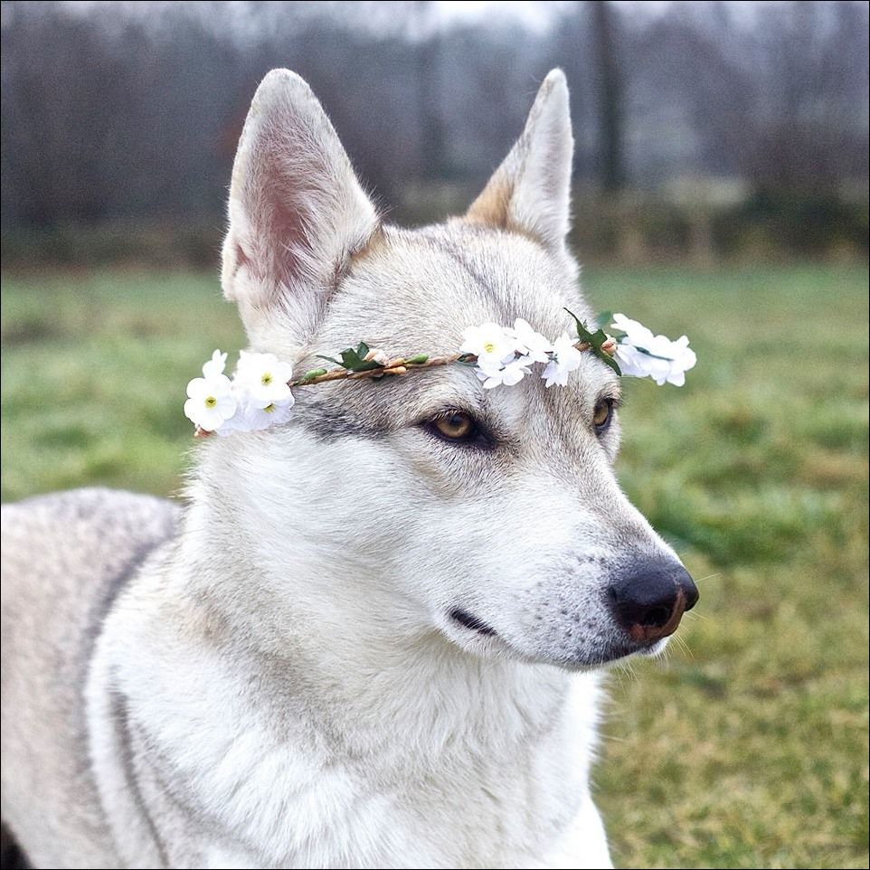 фотоприколы