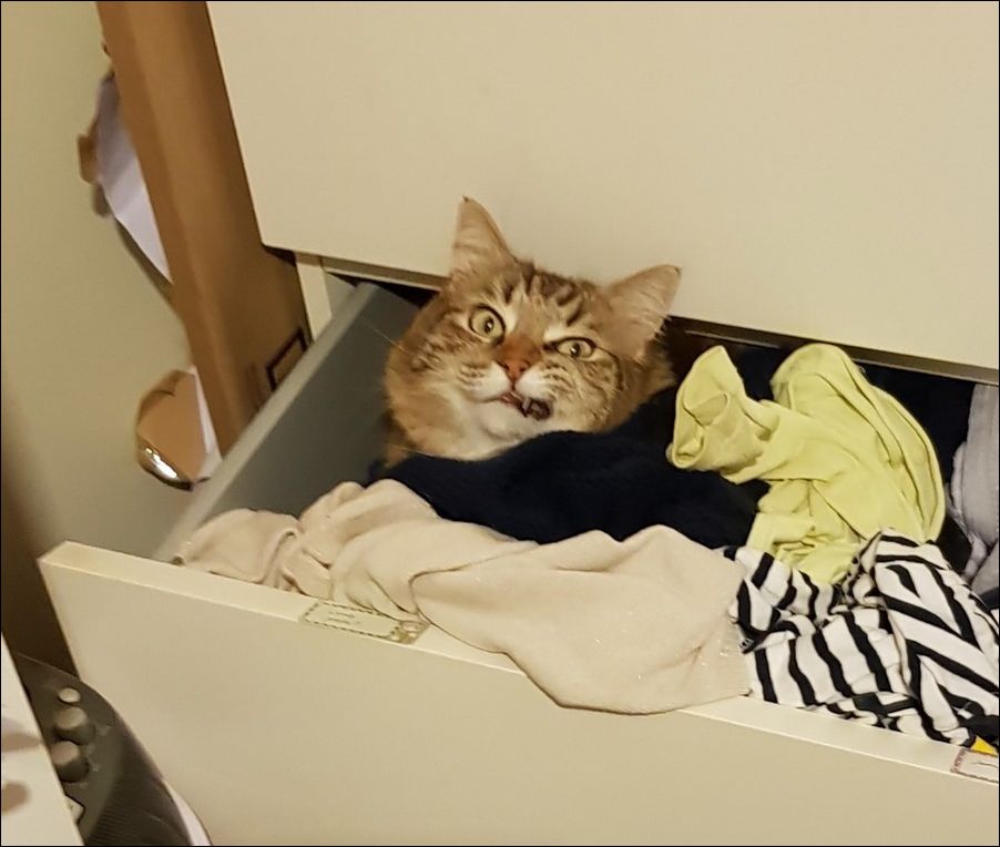 фото приколы