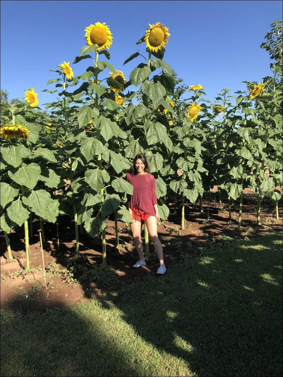 фото приколы