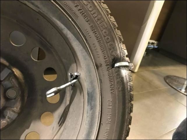 фото приколы