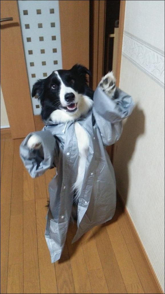 фото приколы