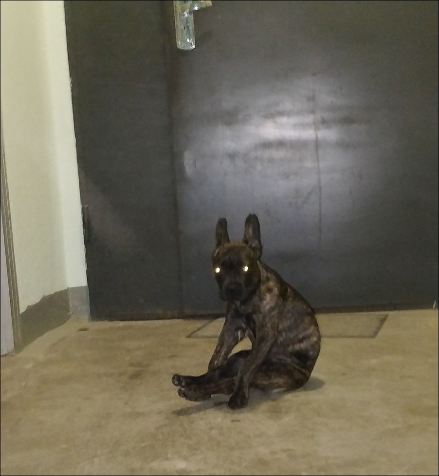 фото приколы