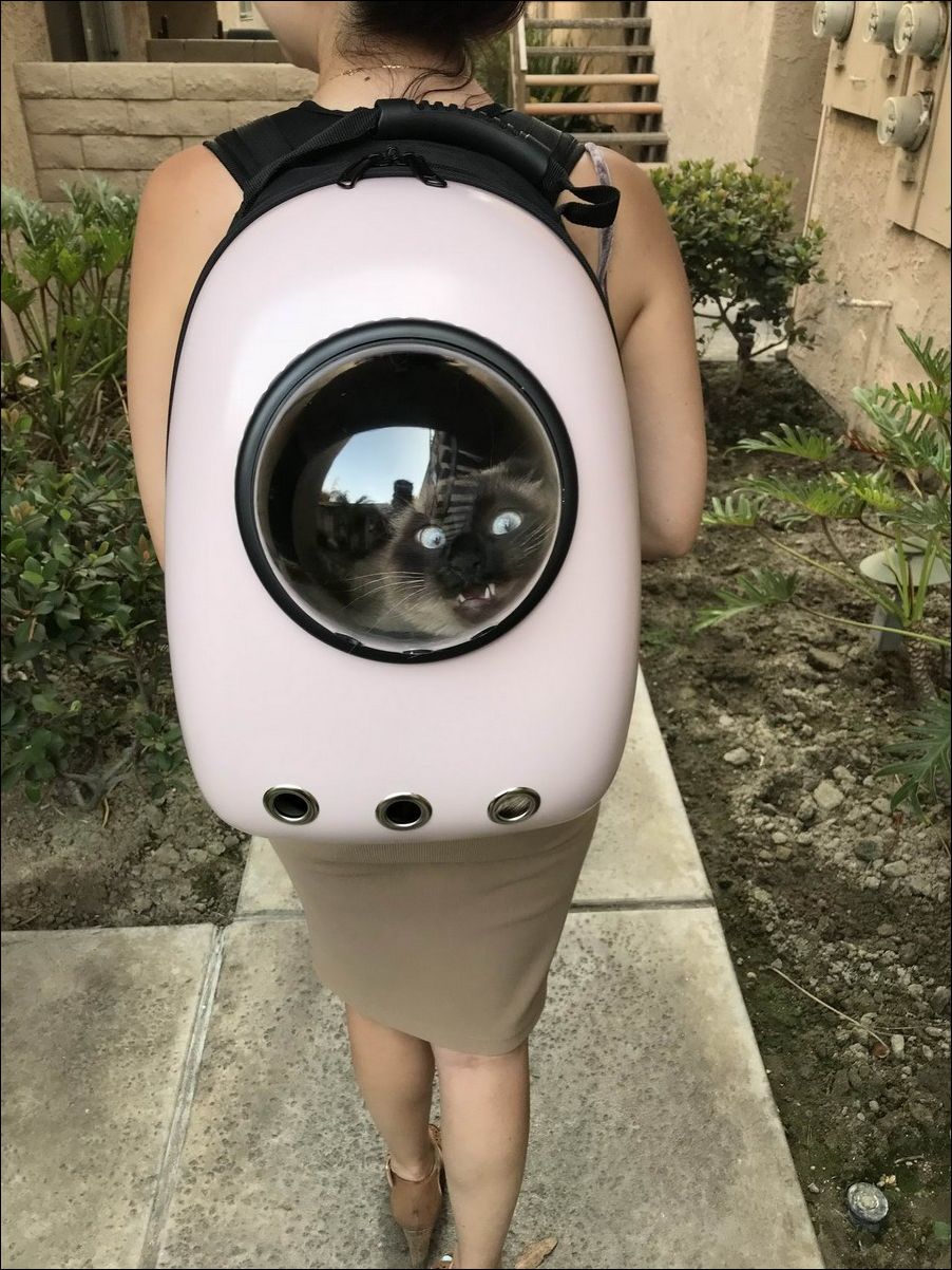 фото приколы