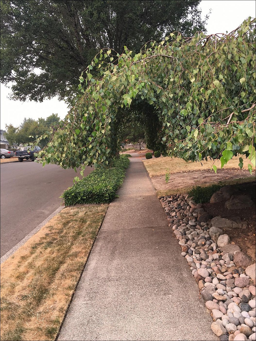 фото приколы