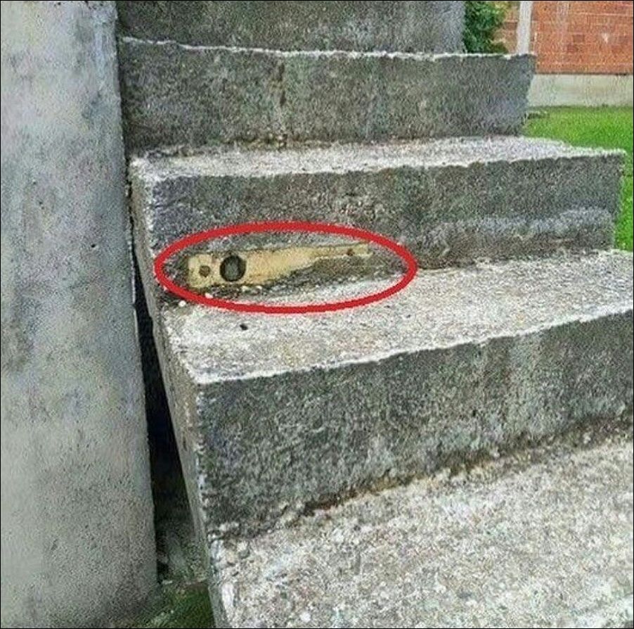 фото приколы