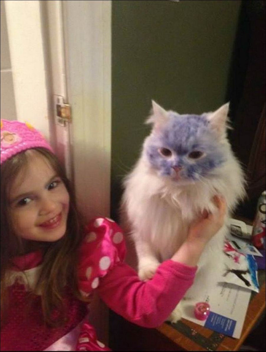 фото приколы