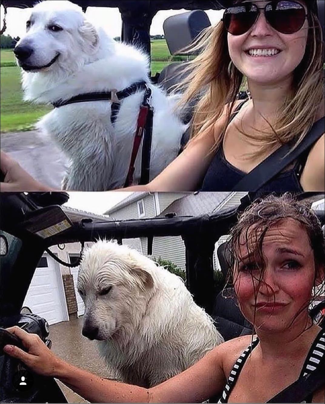 фото приколы