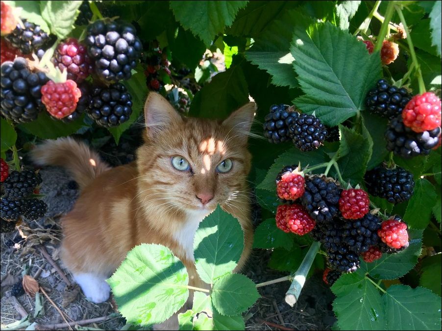 фото приколы