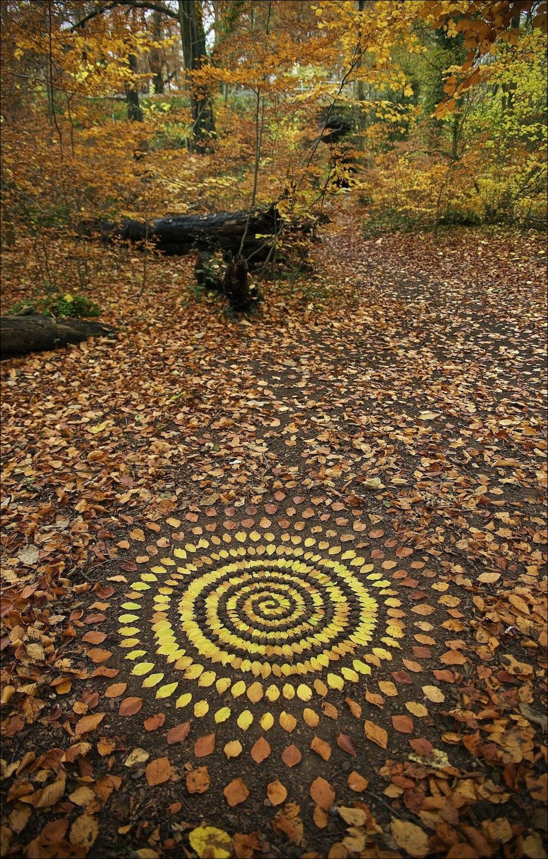 фото приколы