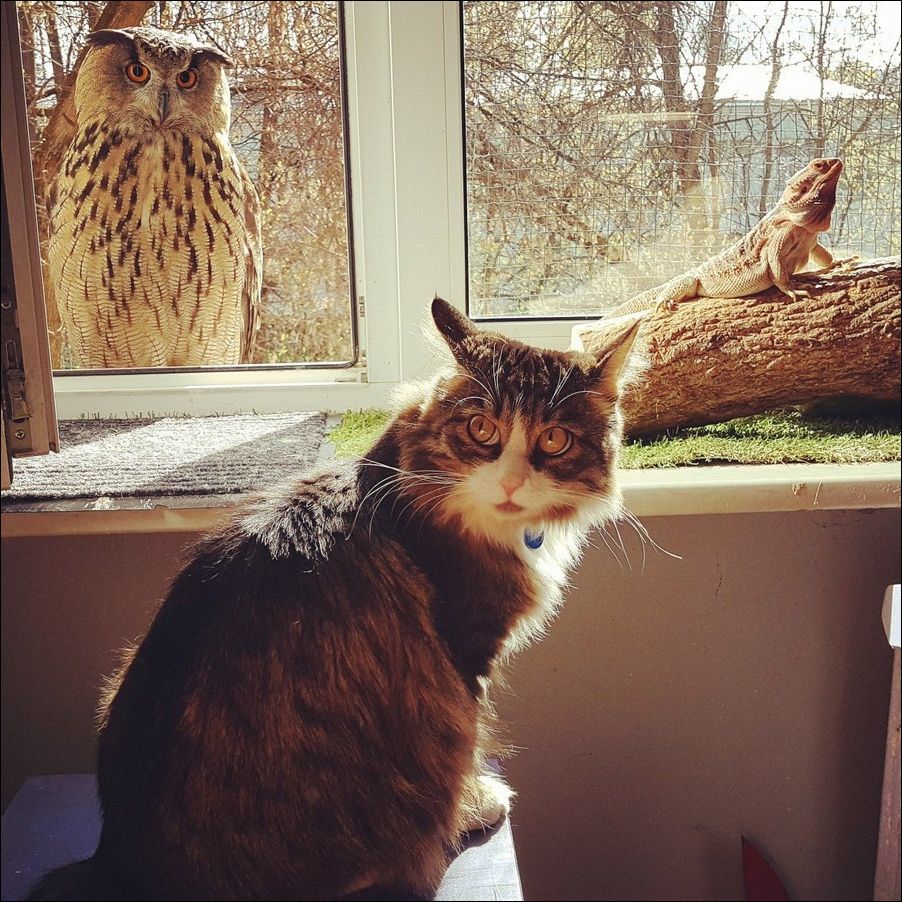 фото приколы