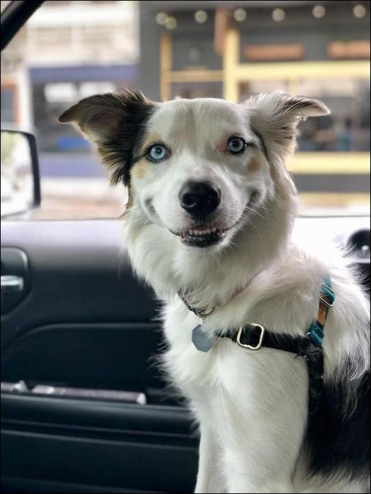 фото приколы